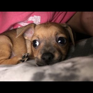 Meet your Posher, Christina